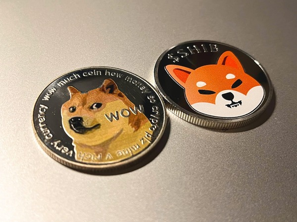 TRON and Avalanche coins representing a TRC20 to Avalanche USDT exchange